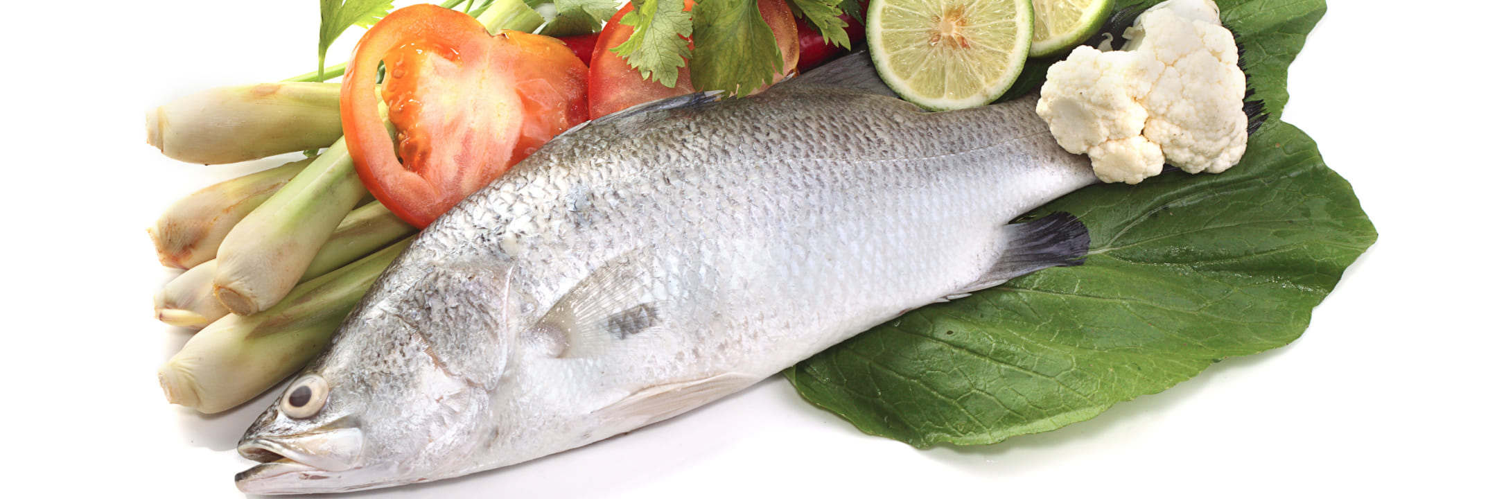 barramundi-white-eyes-1